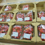 農産物直売所 こだま館 - 安くて甘い！