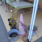 農産物直売所 こだま館 - 切り花コーナー