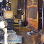 お秀茶屋 - 看板猫