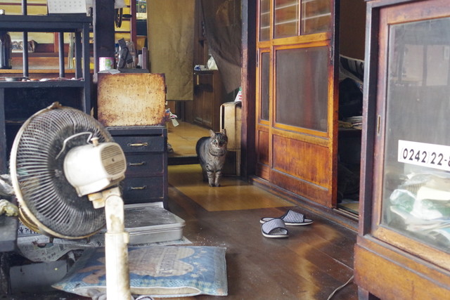 お秀茶屋（おひでちゃや） - 会津若松（郷土料理）の写真