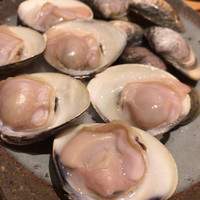 魚竹 - 
