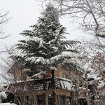 Maruyama Coffee Karuizawa Honten - 外観