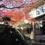 しの原 - 季節外れのもみじ