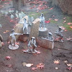 しの原 - 離れの窓から見えるカエルたち