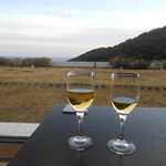 ウェルカムドリンクのようにいただいた、ゆずワイン　2017.2