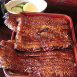うなぎのまつ嘉 - うな弁当