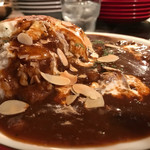 カレー屋アカマル - ハヤシライス980円＋トッピング目玉焼き150円