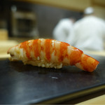 鮨 はしもと - 車海老