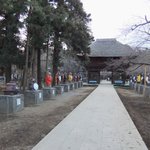 もり陣 - 分福茶釜で有名な茂林寺の境内（狸がお出迎え）