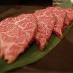 SATOブリアン - 2017/2_ヒレ