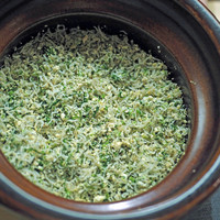 麻布十番 ふくだ - 実山椒（みざんしょう）とおじゃこの炊き込みご飯