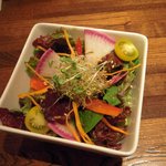 オーガニック プラス - ガーデンサラダ