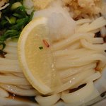 讃歌うどん はんげしょう - うどんのアップ　※少し細麺　2011年1月