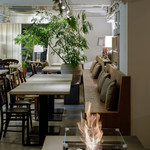 アインソフ　ソア