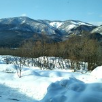 四季彩 - 部屋の窓から