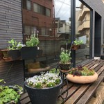 カセント - 外観