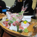 活魚割烹 赤坂 - 