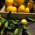 sincere - テーマはシトロン