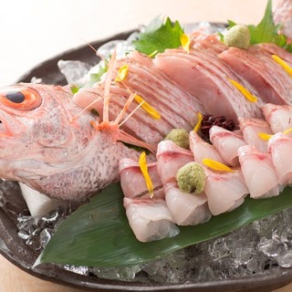 A synonym for Kanazawa! King of white fish [Nodoguro]