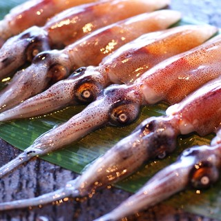 Full of spring flavors! Firefly squid, wild vegetables, white shrimp, throat fin