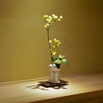 富小路 やま岸 - 山茱萸と椿