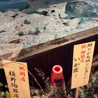 鯖とか烏賊とか真とか - 入口の前に生簀があったり。