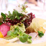 シェタカ　高崎 - 