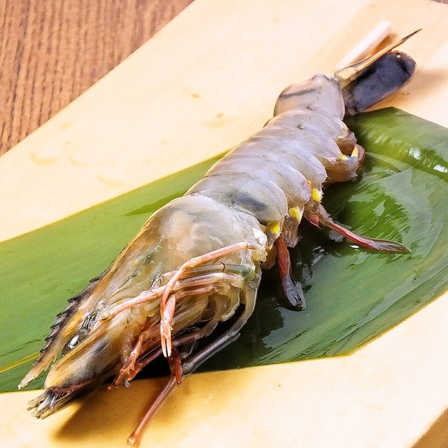 Loites レストラン 飲食店の検索 海鮮居酒屋魚竹水産溝の口市場
