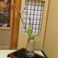 京料理 本家たん熊 本店 - 生花