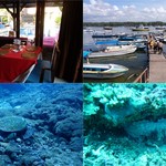 HOTEL TAMAN AGUNG BEACH INN - 左上・朝食　右上・港　左下・ウミガメ　右下・タコ