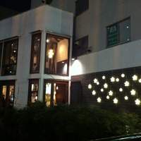 coci - 
