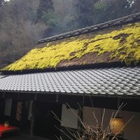 平野屋 - 外観
