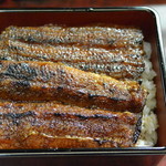 炭焼うなぎ ひつまぶし藤城 - 上うな重