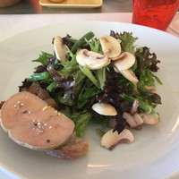 Benoit Alain Ducasse - 