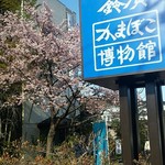 うなぎ亭 友栄 - 近くのかまぼこ博物館は桜が♪春だ・・・。