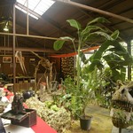 カフェくるくま - 