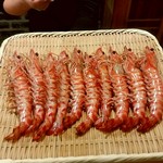 東麻布 天本 - クルマエビ(豊後水道)