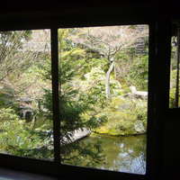 京大和 - 