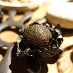 イレテテュヌフワ - 2017.03 そば粉のガレット、貝柱：南部鉄器の鍋敷きが器