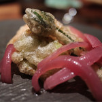 セルヴァッジョ - 