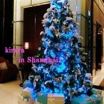 The Ritz-Carlton Shanghai, Pudong - 