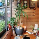 いちょうの木 - 店内のテーブル席の風景です