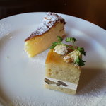 フィーコディンディア