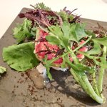 ラ・リューン - メニューＡ 2625円 のズワイ蟹と里芋のサラダ グレープフルーツのジュレ マジュラム風味