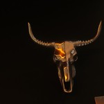 あもん ヨコ - 店内の様子