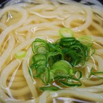 山とも - かけうどん ズーム