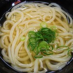 山とも - かけうどん