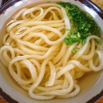 山もり - かけうどん