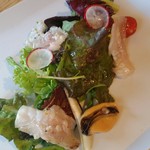 紬山荘 - サラダ