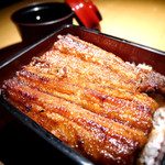 寝床自慢のうな重